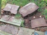 image of grave number 723484